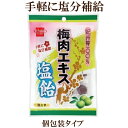 梅肉エキス塩飴 70g健康フーズ 個包装 手軽に塩分補給 梅肉エキス紀州梅100%使用 熱中症対策に 自然食品 サプリエ ※夏季限定品のため、売切れの際はご容赦下さい