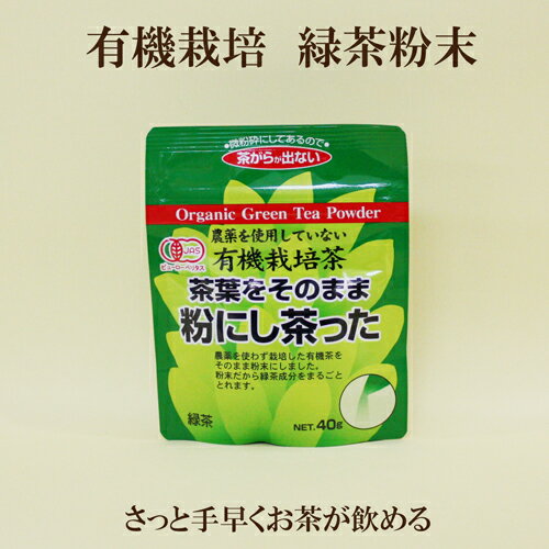 ●有機栽培茶 40g 粉にし茶った 有機栽培茶　緑茶 井ケ田