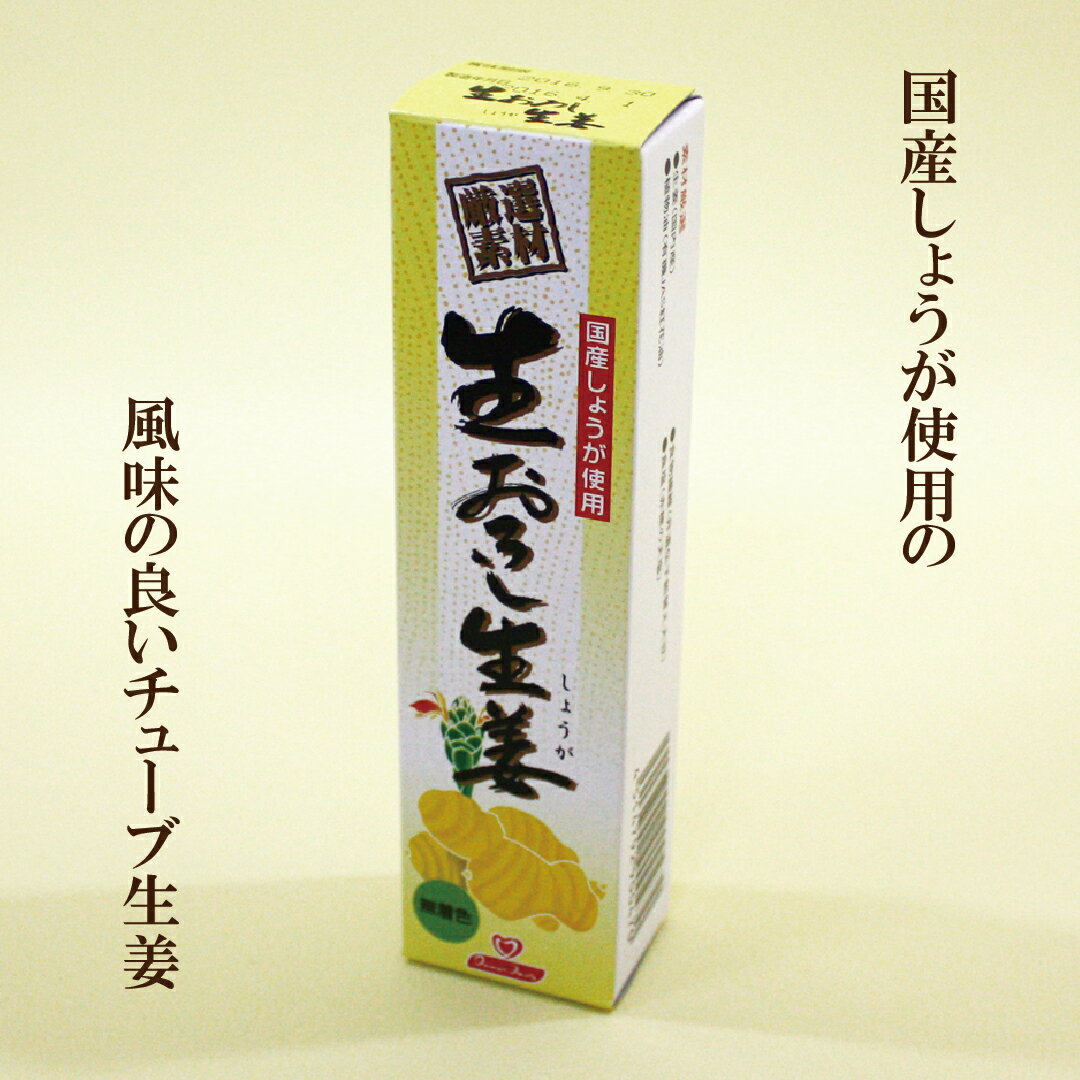 「東京フード 生おろし生姜 40g×4本セット」　 国産しょうが チューブしょうが 自然食品