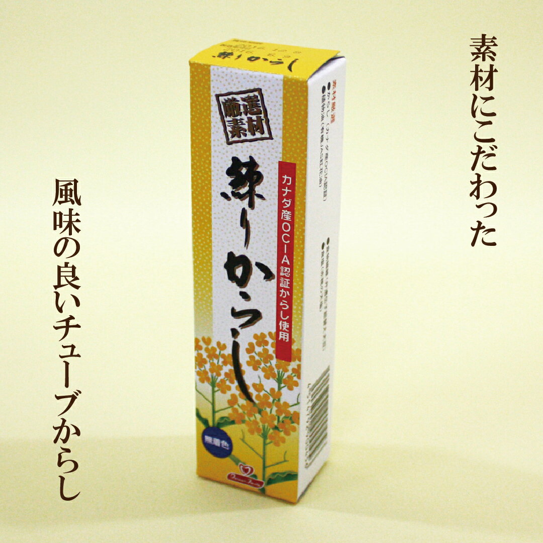 「東京フード 練りからし 40g×4本セット」　 カナダ産OCIA認証 からし チューブからし 自然食品