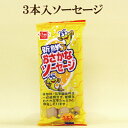 10個セット●健康フーズ 新鮮 おさかなソーセージ 45g×3本×10　魚のうま味たっぷりのソーセージ 1