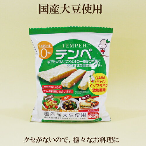 10個セット●大豆テンペ マルシン テンペ 100g×10 国内産大豆使用 テンペ