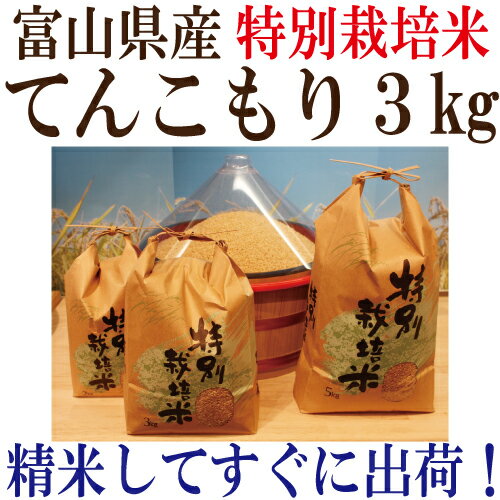 ●令和2年度産　富山県産 特別栽培米てんこもり 玄米3kg【送料無料】玄米・1分搗き...