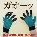 ※ポストへ投函♪ 代引き・日時指定不可 ...