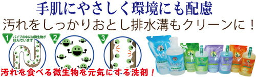 ●緑の魔女　キッチン用洗剤5L 大容量　食器用洗剤　緑の魔女 洗剤 食器・調理器具・野菜・果物用 液体洗剤　業務用　普段使い用