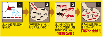 巣のアリ退治液剤800ml