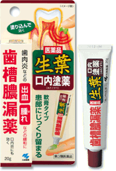 【合算3150円で送料無料】【第3類医薬品】生葉口内塗薬20gのサムネイル