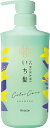 【合算3150円で送料無料】いち髪　カラーケア＆ベーストリートメントin　シャンプー ポンプ 480ml