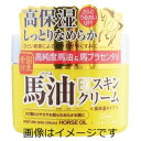 【合算3150円で送料無料】ロッシモイストエイド EX馬油スキンクリームBA 100g