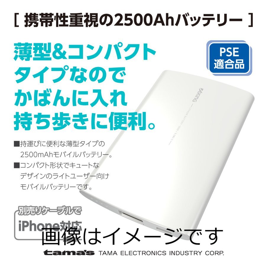 【合算3150円で送料無料】モバイルバッテリー2500mAh USB-A×1ポート付き microUSBケーブル付属 PL65SUモデル