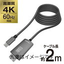 【送料無料】4K 60Hz対応 HDMIケーブル 2.0m USB TypeーCプラグ テレワーク SK88モデル