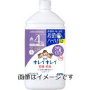【合算3150円で送料無料】【医薬部外品】キレイキレイ薬用泡ハンドソープ フローラルソープの香り 詰め替え 800ml
