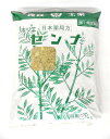 【合算3150円で送料無料】【第(2)類医薬品】堀江生薬 センナ 500g