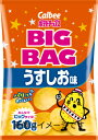 【送料無料】カルビー ポテトチップス うすしお味 BIGBAG 160g×12個【北海道、沖縄は発送不可】