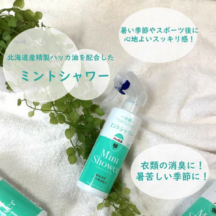 �ߥ�ȥ��������ؤ������ס��̸��ϥå����ý����ô����ֲ����䴶 ���߾�ʪ SS10