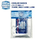 COOLER SHOCK セット / L 保冷剤 クーラーショック クーラーボックス 繰り返し使用可能 Lサイズ 3個セット アウトドア用品