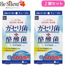 【メール便選択で送料無料】ガセリ菌 サプリメント ガセリ菌＋酪酸菌 90粒 2個セットガセリ菌サプリ 酪酸菌 乳酸菌 サプリ【メール便対象品】