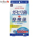 ガセリ菌 サプリメント ガセリ菌+酪酸菌 90粒 ガセリ菌サプリ 酪酸菌 乳酸菌 サプリ 善玉菌