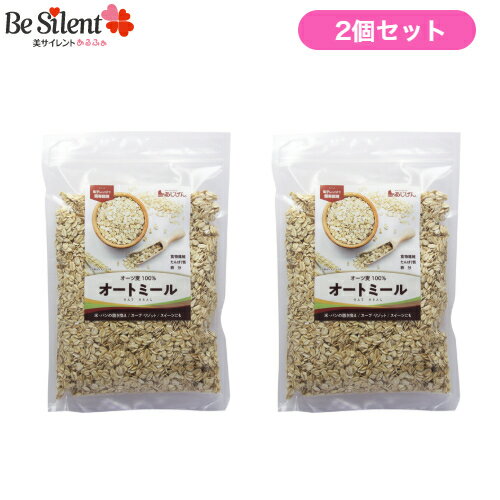 オートミール 500g 2個セット 送料無料 オーツ麦 味源 置き換え たんぱく質 食物繊維 鉄 シリアル グラノーラ 糖質制限 腸活 雑炊 リゾット