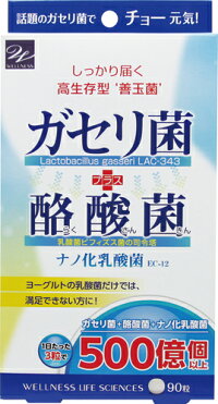 ガセリ菌+酪酸菌90粒メール便送料無料10/48:59までポイント20倍