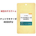 （1袋/3袋/6袋）ナットウキナーゼ 400