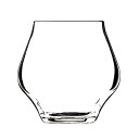 5Pオフ★サラセラの日SALE!《在庫品》ワイングラス スプレーモ ピノノワール 450ml ボルミオリルイジ おしゃれ グラス ガラス食器 食洗器対応〔お取り...