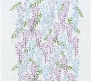 (欠品中入荷未定)布ごよみ てぬぐい 藤の花 今治タオル コンテックス キッチンタオ...