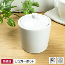 【アウトレット】シンプル シュガーポット / 食器 おしゃれ 調味料入れ 砂糖 白 アウトレット アウトレット食器