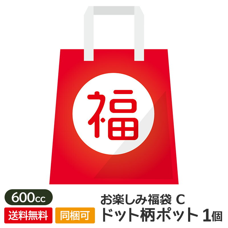 【アウトレット】お楽しみ福袋C(ドット柄 ポット 1個)【1000円送料無料・同梱OK!】 / 食器 福袋 ティーポット ポット 茶器 1000円 送料無料 食...