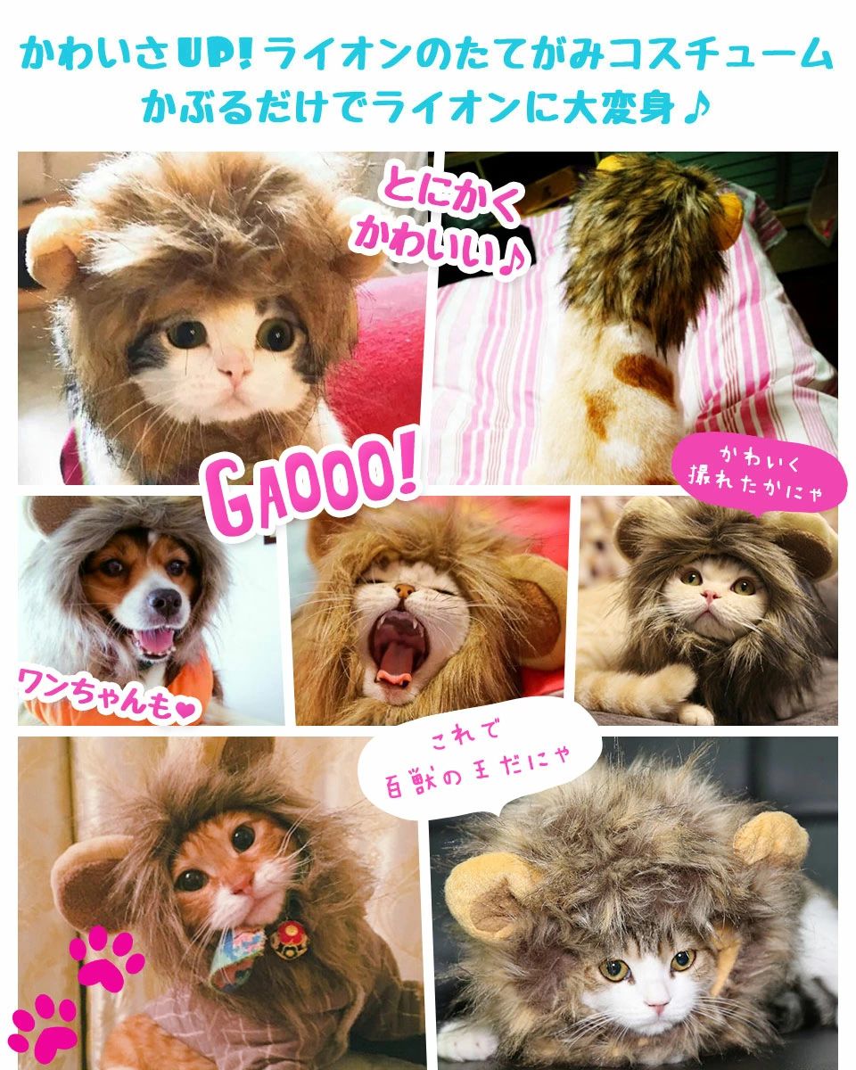 【P5+全商品最大2000円offクーポン配布】かぶるだけでライオンに大変身！目立ちまくり耳付き帽子　ライオン たてがみ 犬 タテガミ ワンちゃんネコちゃんに ペット用 犬用猫用 被り物 ハロウィン
