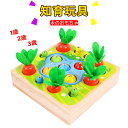 全商品期間限定6%OFF 知育玩具 木のおもちゃ ひっつきむし 引っ付き虫 にんじん ひっつき虫 出産祝い 1歳 2歳 3歳 ハーフバースデー 虫釣り お誕生日 入園祝い 誕生日 プレゼント
