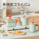 小型フライヤー 天ぷら鍋 単品 揚げ物鍋 油ポット 揚げポット IH対応 ガス火対応 揚げ鍋 天ぷら スープポット ミニフライヤー フライドポテト 揚げ物 フィルター 串揚げ IH ih対応 ih ガス火 ミニ揚-1