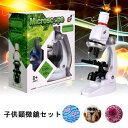 【P5倍+最大2000円offクーポン配布】 子供顕微鏡セット 初心者顕微鏡セット マイクロスコープ ミニ顕微鏡 プレゼント 小学生 中学生 高校生 知育玩具 おもちゃ 8歳 9歳 10歳 子供の日