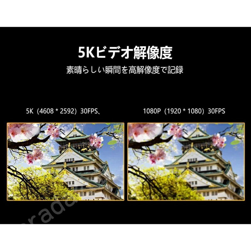【中古】Nikon 超広角ズームレンズ NIKKOR Z 14-24mm f/2.8S Zマウント フルサイズ対応 Sライン NZ14-24 2.8