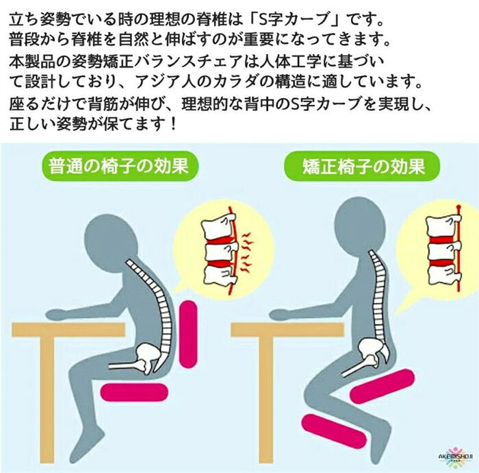 バランスチェア 在宅勤務 椅子 在宅ワーク チェア バランス チェア 大人 姿勢矯正 ...