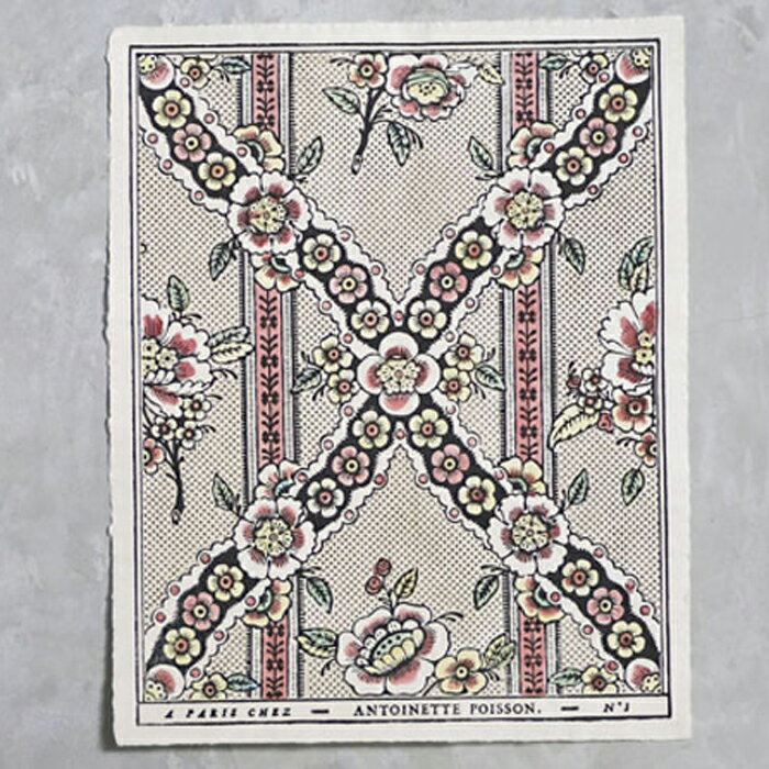 ドミノペーパー 1B 4色 Antoinette Poisson // アントワネットポアソン ポスター 壁紙 デザインペーパー サラグレース