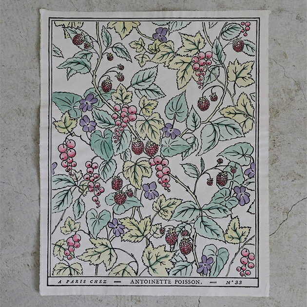 ドミノペーパー 33A 5色 Antoinette Poisson // アントワネットポアソン ポスター 壁紙 デザインペーパー ボタニカル 草 木 フルーツ フランス サラグレースのサムネイル
