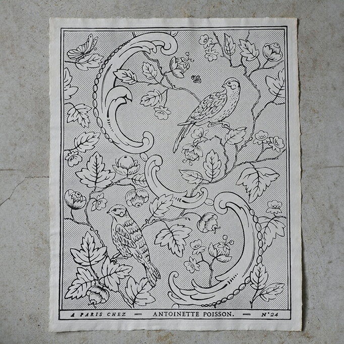 ドミノペーパー 24A Antoinette Poisson // アントワネットポアソン ポスター 壁紙 デザインペーパー ボタニカル 花 鳥 モノクロ フランス サラグレースのサムネイル