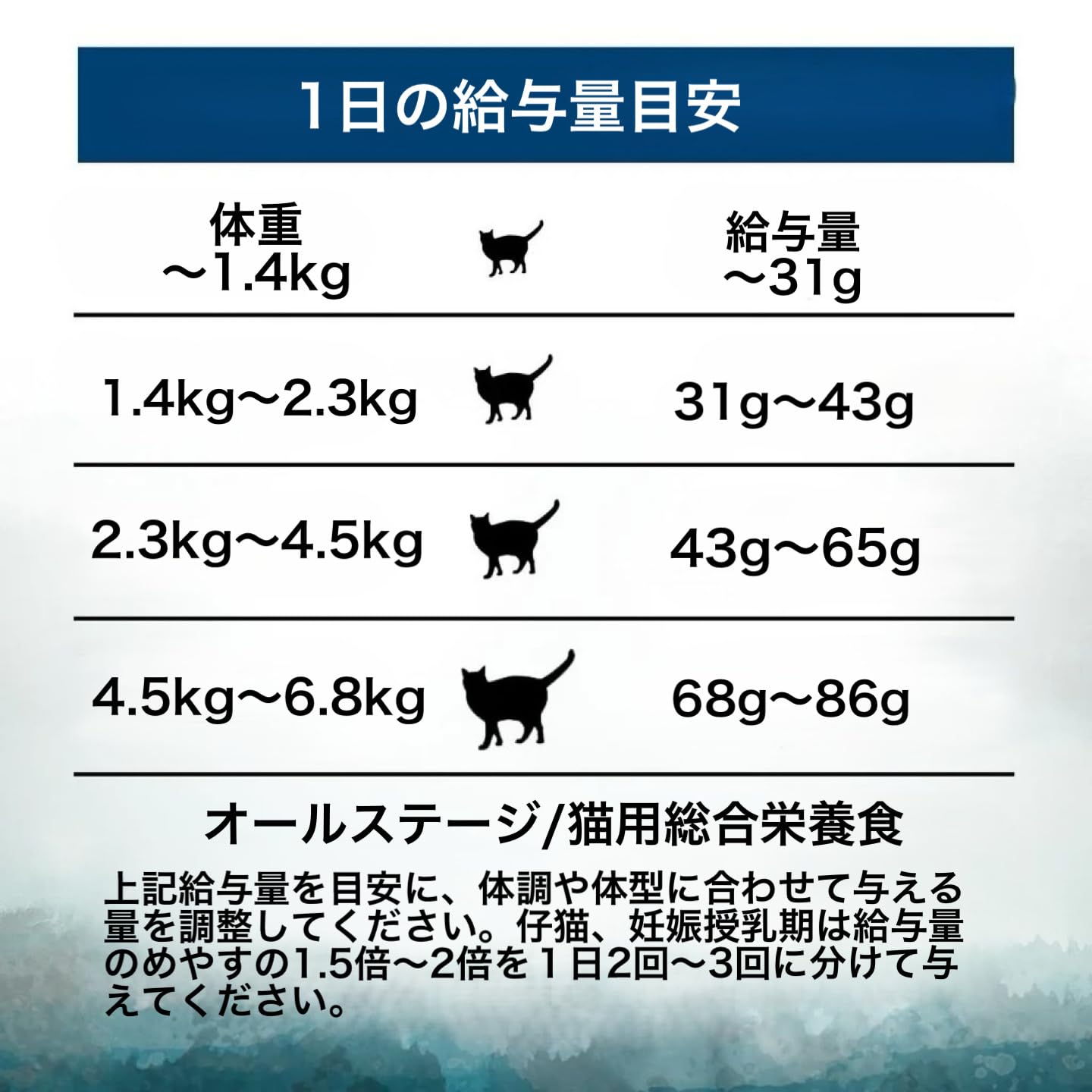 ADDICTION アディクション ワイルドアイランズ パシフィックキャッチ グレインフリーキャットフード 300g (12070)