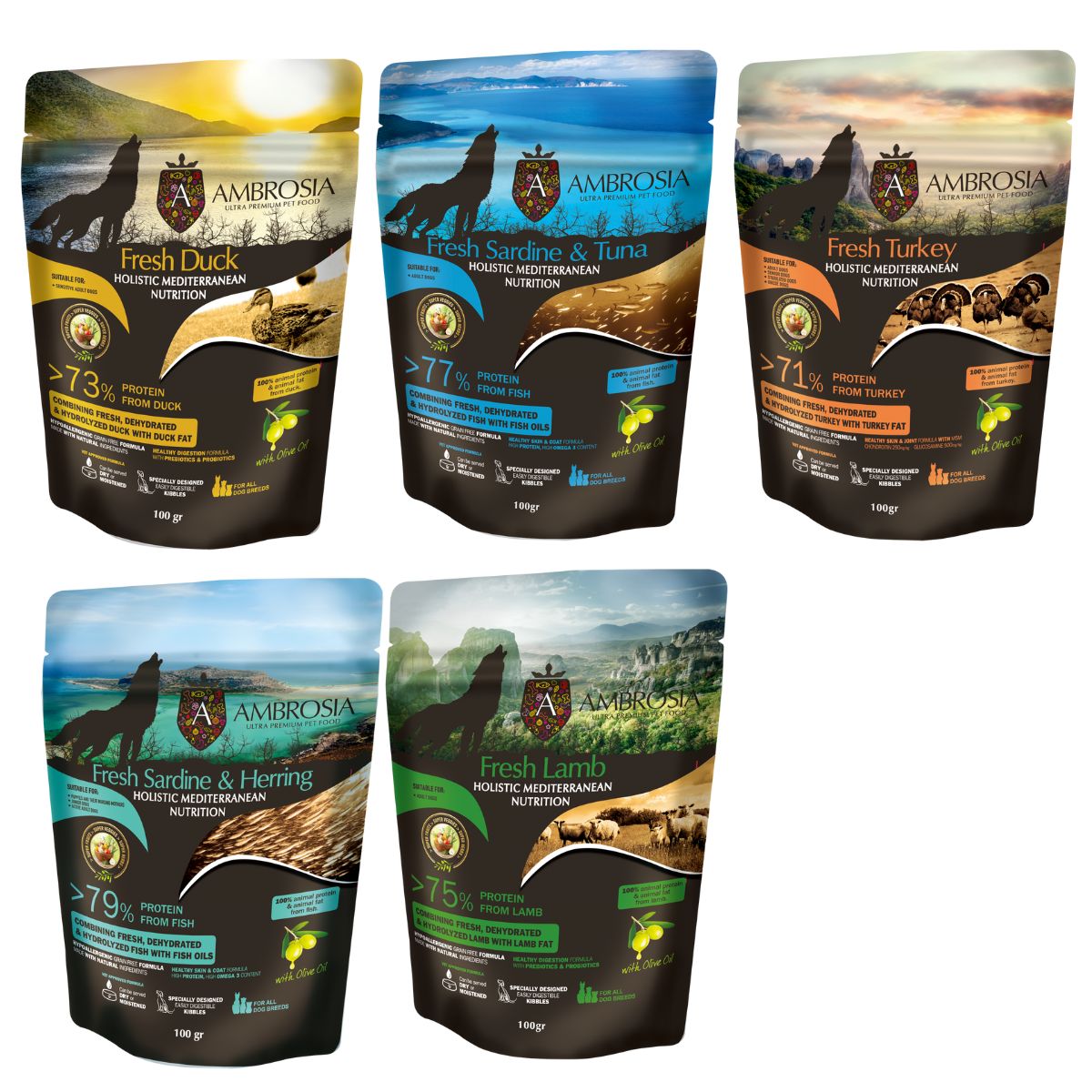 犬 ドッグフード ドライフード アンブロシア HMN 地中海のレシピ グレインフリー お試し 100g 全5種 (..