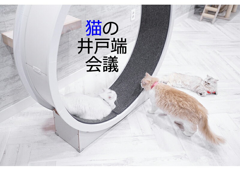 最安値 キャットホイール キャットウォーク キャットタワー Cat Wheel 猫 回転車 猫 回し車 猫ホイール ネコホイール 猫 ルームランナー 猫 ランニングマシーン 猫ジム 室内飼い 猫 健康管理 猫 運動不足 猫 ストレス解消 猫 ダイエット 猫 爪とぎ 猫のおもちゃ 最安値 キャットホイール キャットウォーク キャットタワー Cat Wheel 猫 回転車 猫 回し車 猫ホイール ネコホイール 猫 ルームランナー 猫 ランニングマシーン 猫ジム 室内飼い 猫 健康管理 猫 運動不足 猫 ストレス解消 猫 ダイエット 猫 爪とぎ 猫のおもちゃ