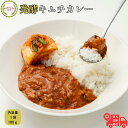 発酵キムチカレー 1人前 キムチソムリエ監修 楽天 直送 白菜キムチ レトルト カレー 国産豚肉 低温発酵 本場 韓国 発酵 腸活 伝統製法 手仕込み キムチ ...