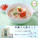 冷麺5人前セット 麺160g&濃縮スープ45g×5 プロが選んだ キムチソムリエ監修 冷麺 夏 本場 韓国 韓国冷麺 水冷麺 冷やし麺 麺 キムチ のどごし 韓国食品 自宅 簡単 贈り物 家族 ギフト お中元 グルメ