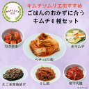 キムチソムリエ セレクト おすすめキムチ6種セット 白菜キムチ 水キムチ カクテキ えごま 醤油漬け 干し鱈 切干大根 キムチ 腸活 本場 韓国 発酵 薬膳 伝統 製法 手仕込み キムチ まろやか おつまみ ご飯のお供 家族 ギフト お中元 グルメ