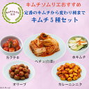 キムチソムリエ セレクト おすすめキムチ5種セット 白菜キムチ 水キムチ カクテキ オリーブ カレーニンニク キムチ 腸活 本場 韓国 発酵 薬膳 伝統 製法 手仕込み キムチ まろやか おつまみ ご飯のお供 家族 ギフト お中元 グルメ