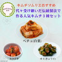 キムチソムリエ セレクト 定番 キムチ 3種セット 白菜キムチ オイキムチ カクテキ キムチ 腸活 本場 韓国 発酵 薬膳 伝統 製法 手仕込み まろやか おつまみ ご飯のお供 家族 ギフト お中元 グルメ