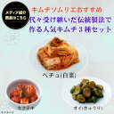 【メディア紹介】定番 キムチ 3種セット キムチソムリエ セレクト 白菜キムチ オイキムチ カクテキ キムチ 腸活 本場 韓国 発酵 薬膳 伝統 製法 手仕込み まろやか おつまみ ご飯のお供 家族 ギフト お中元 グルメ