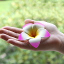 シンプルスポンジプルメリア(ピンク)【メール便OK】お部屋に飾るだけでアジアンリゾート。スポンジ素材でふんわり柔らか♪手の平サイズの可愛い造花、フランジパニ、フローティングフラワー