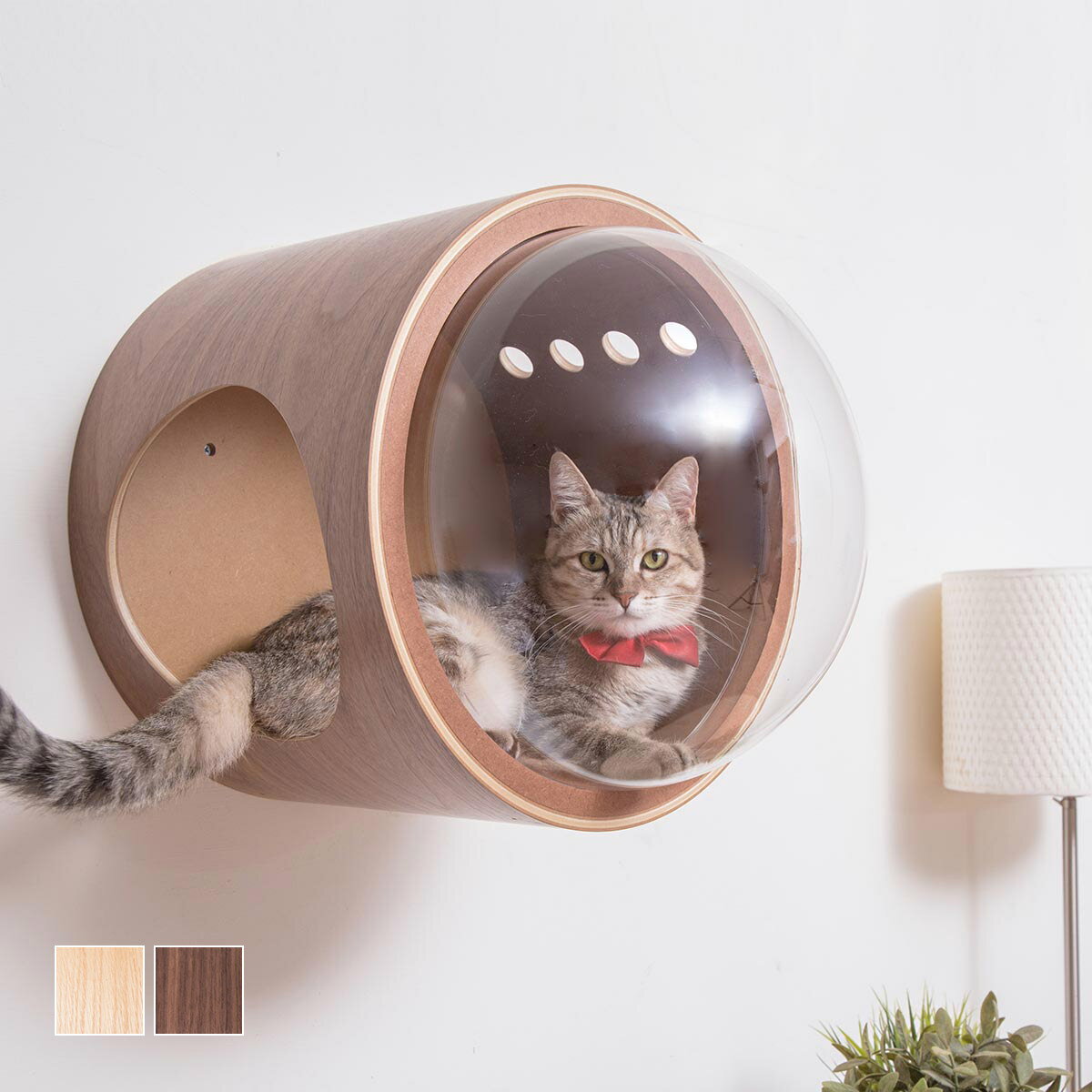 マイズーの宇宙船モチーフの猫ベッド｜壁付けタイプのおしゃれなキャットベッド［MYZOO〈マイズー〉宇宙船ガンマ ネコハウス］猫ベッド サラサデザインストアsarasa design store ＃SL_PT