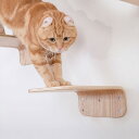 マイズーのおしゃれなキャットステップ｜壁付けタイプで好みのウォークステップが作れます［MYZOO〈マイズー〉LACK キャットステップ S 2枚入り］猫用 サラサデザインストアsarasa design store ＃SL_PT